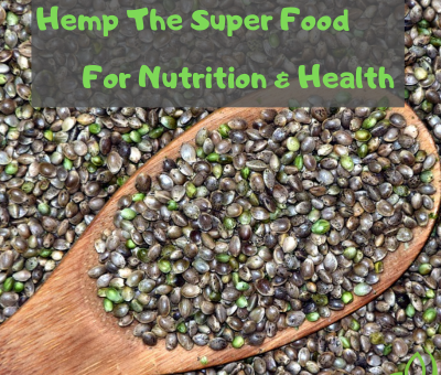 hemp protein and health