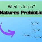 What Is Inulin - The Chicory Plant's 5000 Years Of Health Benefits