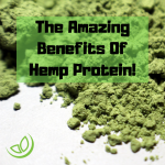 Hemp Protein Benefits And Health Considerations